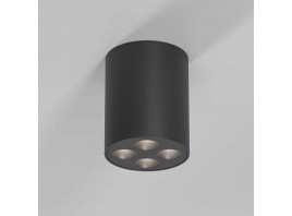Потолочный светильник Elektrostandard 25111/LED a067485