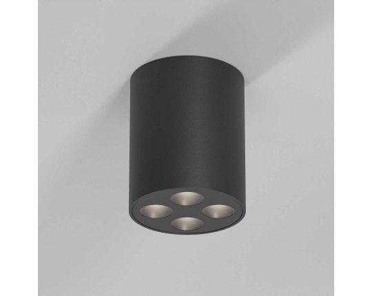 Потолочный светильник Elektrostandard 25111/LED a067485