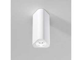 Потолочный светильник Elektrostandard 25110/LED a067062