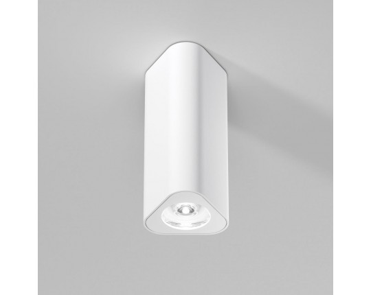 Потолочный светильник Elektrostandard 25110/LED a067062