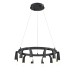 Подвесной светильник Vele Luce Negro VL7102P12