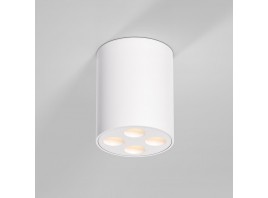 Потолочный светильник Elektrostandard 25111/LED a067482