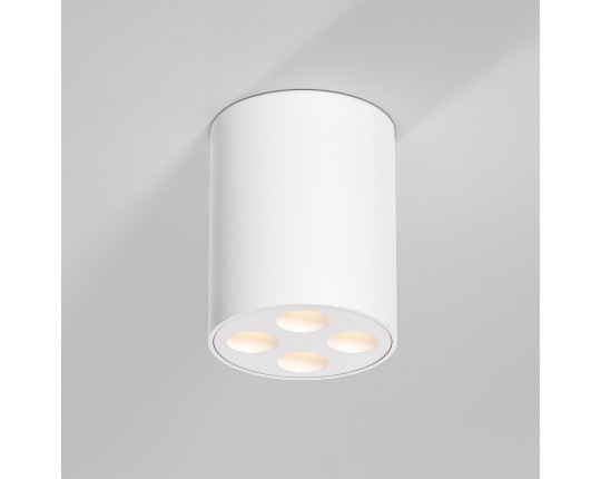 Потолочный светильник Elektrostandard 25111/LED a067482