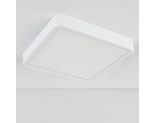 Потолочный светодиодный светильник Elektrostandard DLS034 18W 4200K a043017