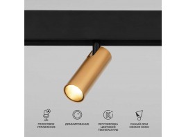 Трековый светодиодный светильник Elektrostandard (Умный дом) Slim Magnetic Dim Cubo 85070/01 латунь a063529