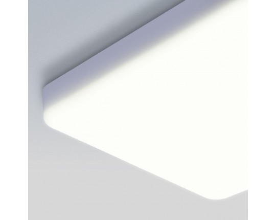 Потолочный светодиодный светильник Elektrostandard DLS043 10W 4200K a047941