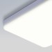 Потолочный светодиодный светильник Elektrostandard DLS043 10W 4200K a047941