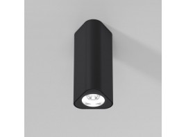 Потолочный светильник Elektrostandard 25110/LED a067064