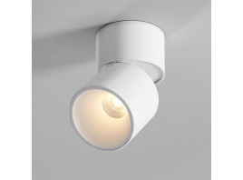 Потолочный светильник Elektrostandard 25112/LED a067486
