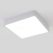 Потолочный светодиодный светильник Elektrostandard DLS034 18W 4200K a043017