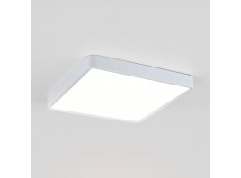 Потолочный светодиодный светильник Elektrostandard DLS034 24W 4200K a043018