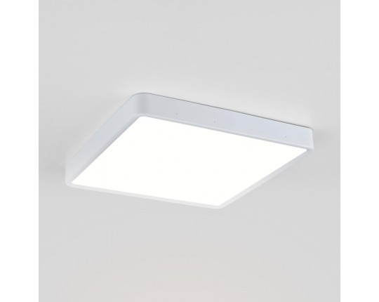 Потолочный светодиодный светильник Elektrostandard DLS034 24W 4200K a043018