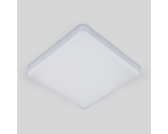 Потолочный светодиодный светильник Elektrostandard DLS043 10W 4200K a047941