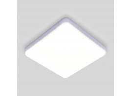 Потолочный светодиодный светильник Elektrostandard DLS043 10W 4200K a047941