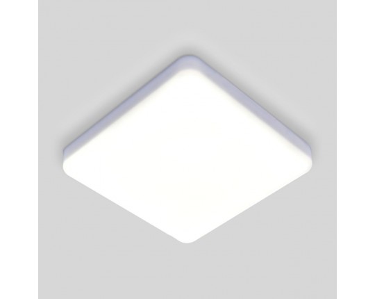 Потолочный светодиодный светильник Elektrostandard DLS043 10W 4200K a047941