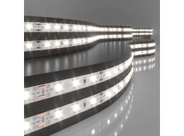 Светодиодная лента Elektrostandard 4,8W/m 60LED/m 2835SMD дневной белый 5M a052954