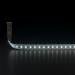 Светодиодная влагозащищенная лента Elektrostandard 9,6W/m 120LED/m 2835SMD холодный белый 5M a052964