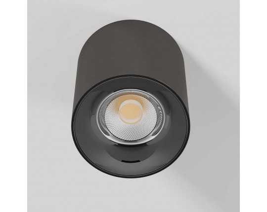 Потолочный светодиодный светильник Elektrostandard Primo 25116/LED a069415