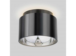 Потолочный светильник Elektrostandard Charlie 1069 GX53 GR черный жемчуг a053056