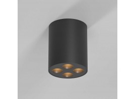 Потолочный светильник Elektrostandard 25111/LED a067484