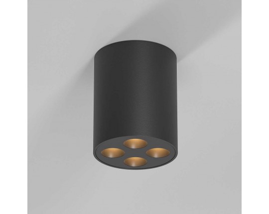 Потолочный светильник Elektrostandard 25111/LED a067484