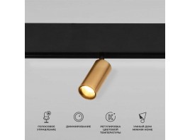 Трековый светодиодный светильник Elektrostandard (Умный дом) Slim Magnetic Dim Cantors 85071/01 латунь a063531