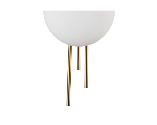Настенный светодиодный светильник Indigo ASTRO 14007/1W Brass V000044L