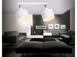  Настенно-потолочный спот в стиле лофт TR8141/2  WH белый E27*2 max 40W 340*120*180