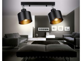  Настенно-потолочный спот в стиле лофт TR8142/2 BK черный E27*2 max 40W 340*120*180
