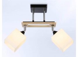  Подвесной светильник TR9503/2 BK/CH/FR черный/хром/белый матовый E27/2 max 40W 510*100*270