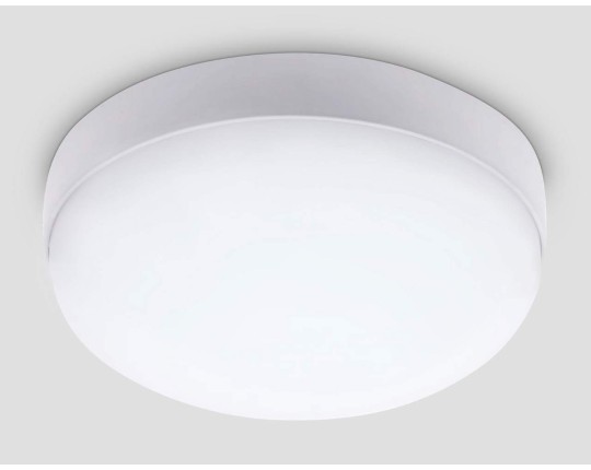 ST8633 WH белый IP65 LED 6500K 20W D170*60