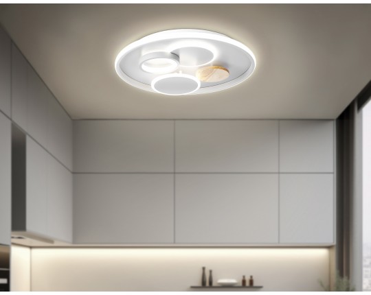  Настенно-потолочный светодиодный светильник с пультом FL4803 GR серый 3000K-6400K 70W D500*95 (ПДУ ИК)