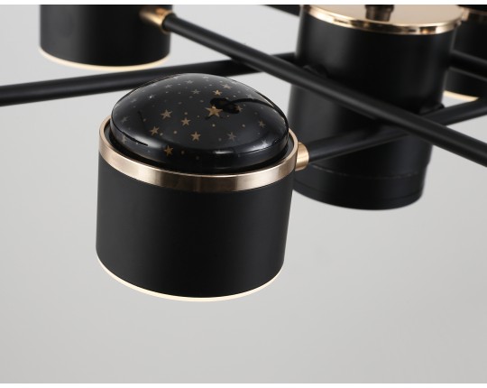  Люстра светодиодная на штанге FL51629/9+4 BK/FGD черный/золото 132W 3000-6000K D850*370 (без ПДУ)