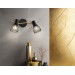  Настенно-потолочный спот в стиле лофт TR8660/2 BK/GD черный/золото E14/2 max 60W 330*100*170