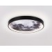  Настенно-потолочный светодиодный светильник FW11110 BK черный 15W LED 3000-6400K D240*38