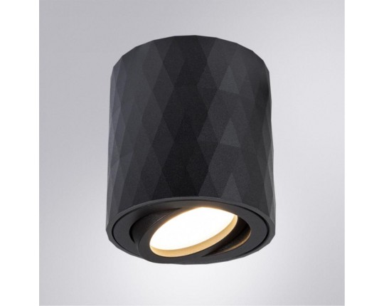 Потолочный светильник Arte Lamp Fang A5559PL-1BK