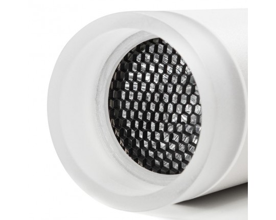 Потолочный светильник Arte Lamp Ogma A5556PL-1WH