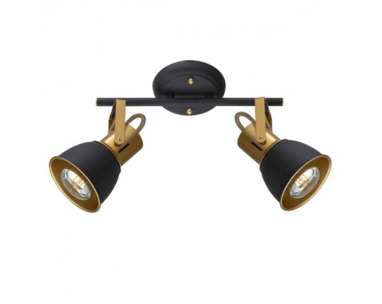 Спот Arte Lamp Jovi A1677PL-2GO