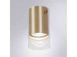 Точечный накладной светильник Arte Lamp LAZIO A5365PL-1SG