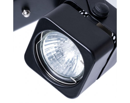 Потолочный светильник Arte Lamp A1315PL-2BK