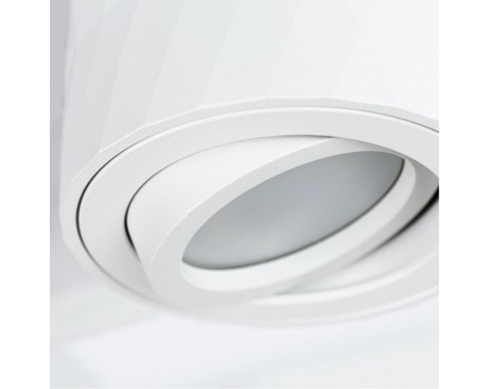 Потолочный светильник Arte Lamp Fang A5559PL-1WH