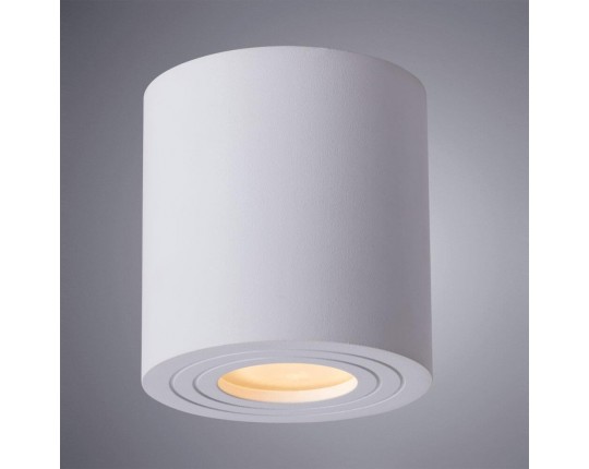 Потолочный светильник Arte Lamp Galopin A1460PL-1WH
