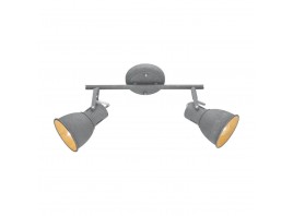 Спот Arte Lamp A1677PL-2GY
