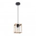 Подвесной светильник Arte Lamp Dublin A7025SP-1BK
