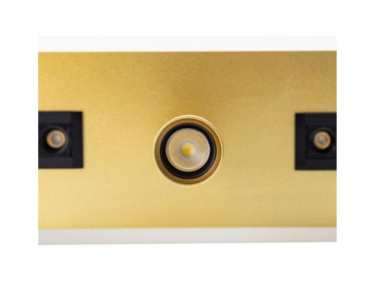 Светодиодный спот Arte Lamp Pisces A2220PL-3GO