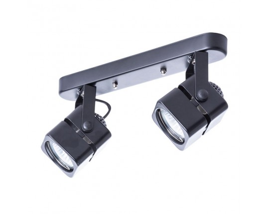 Потолочный светильник Arte Lamp A1315PL-2BK