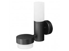 Уличный настенный светильник Arte Lamp BUDAPEST A2360AL-2BK