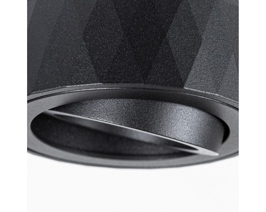 Потолочный светильник Arte Lamp Fang A5559PL-1BK