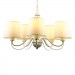 Подвесная люстра Arte Lamp Orlean A9310LM-5WG