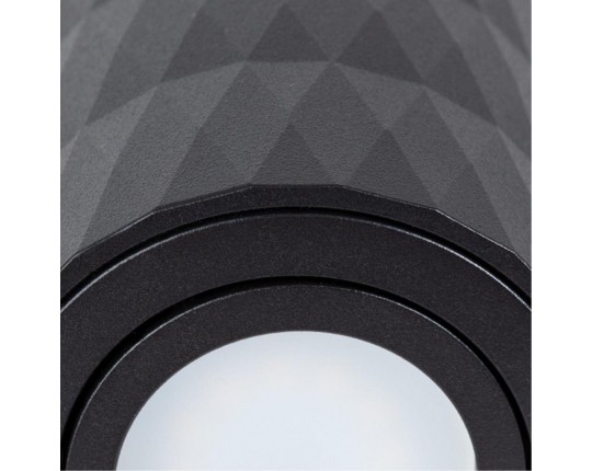 Потолочный светильник Arte Lamp Fang A5559PL-1BK